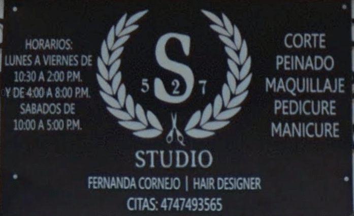 11144salon-1.png