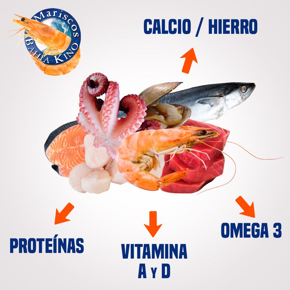 BAHIA-KINOO.jpg