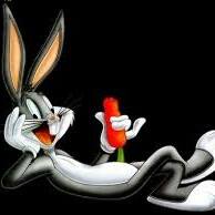 BUNNY.jpg