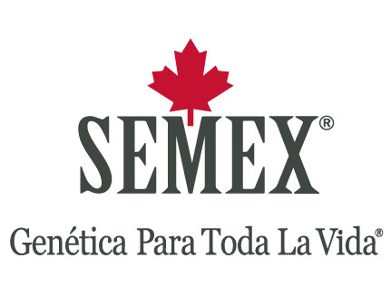 GFLsemex_SP-1.jpg