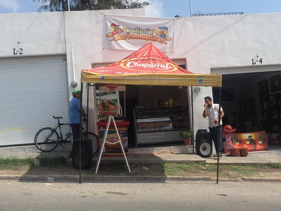 POLLO12.jpg