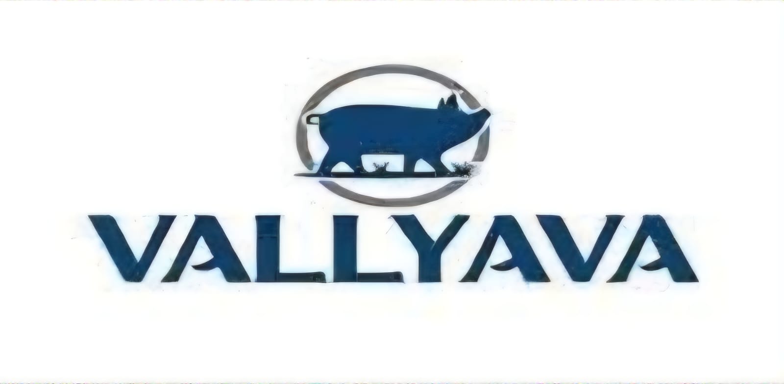VALLYAVA