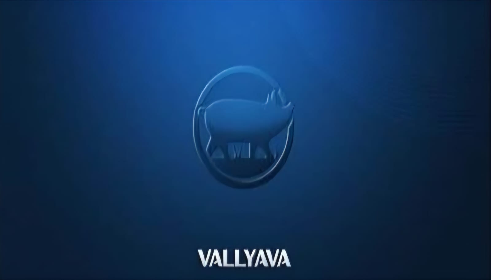 VALLYAVA2