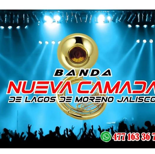 camadfaaa-1.jpg