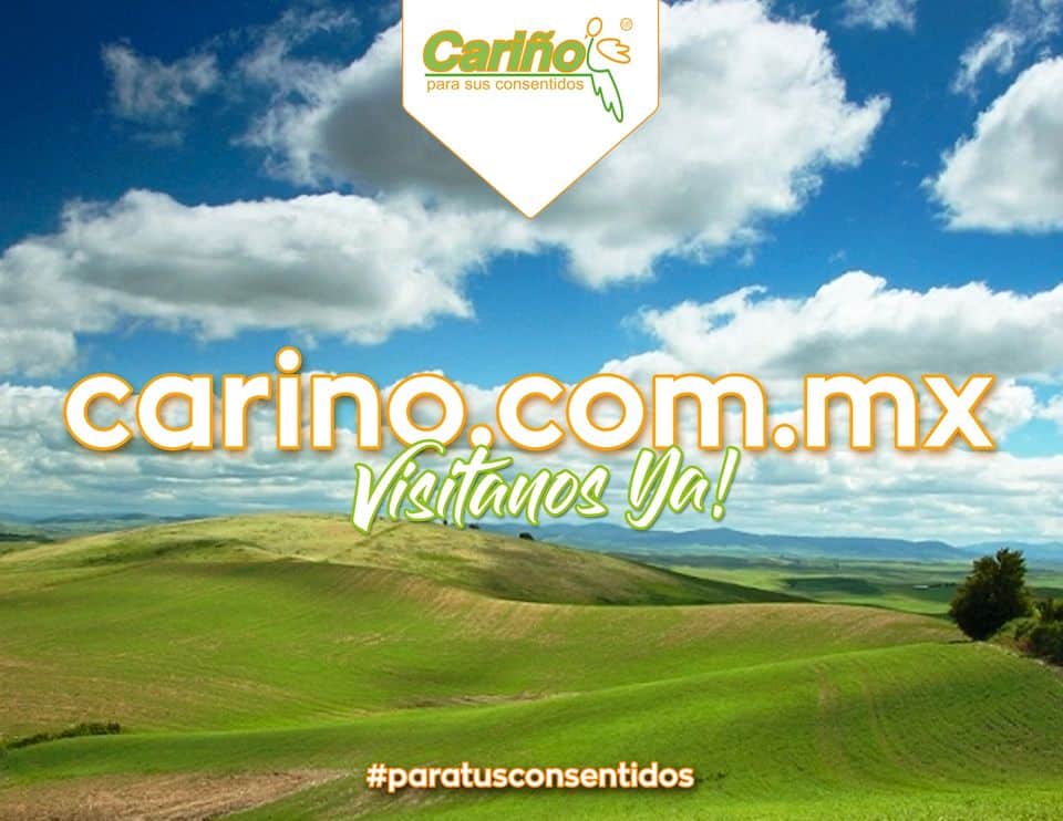 carinlnooo.jpg