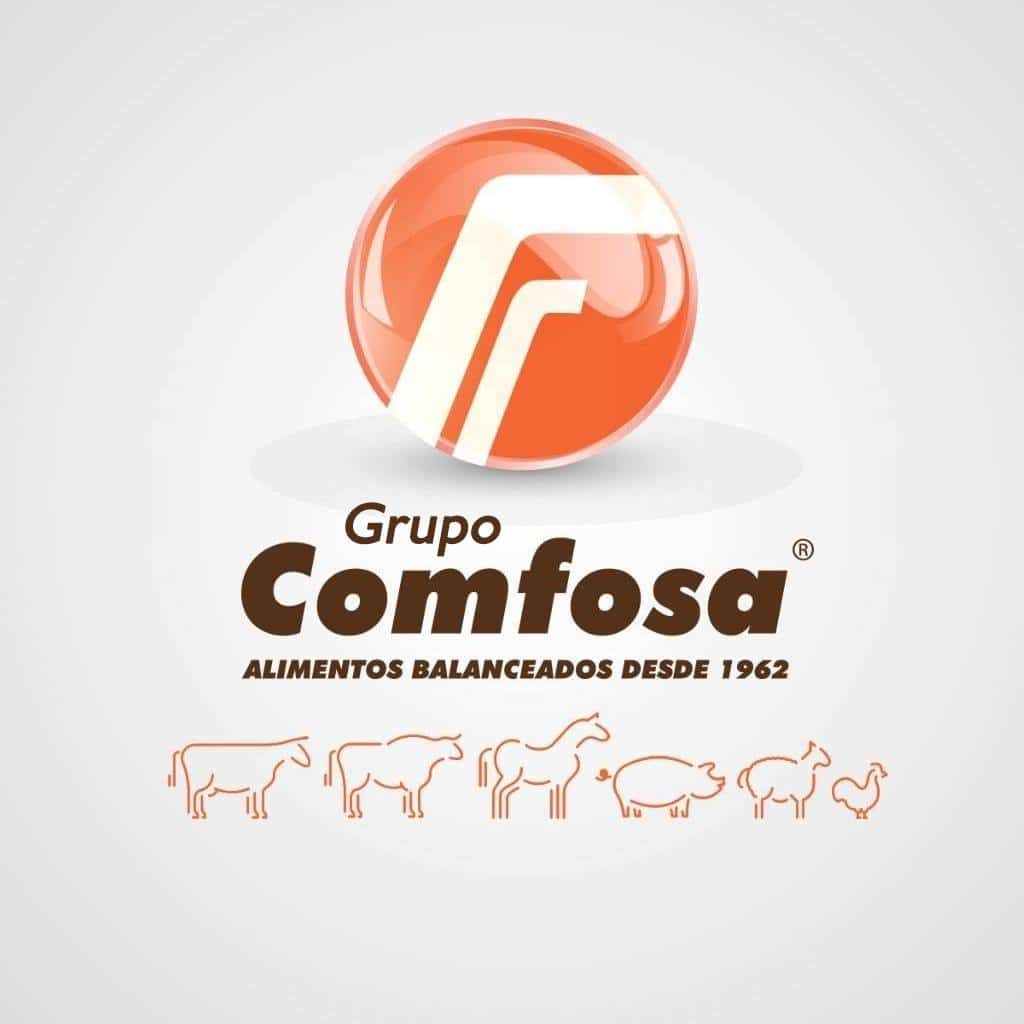 comfosaa.jpg