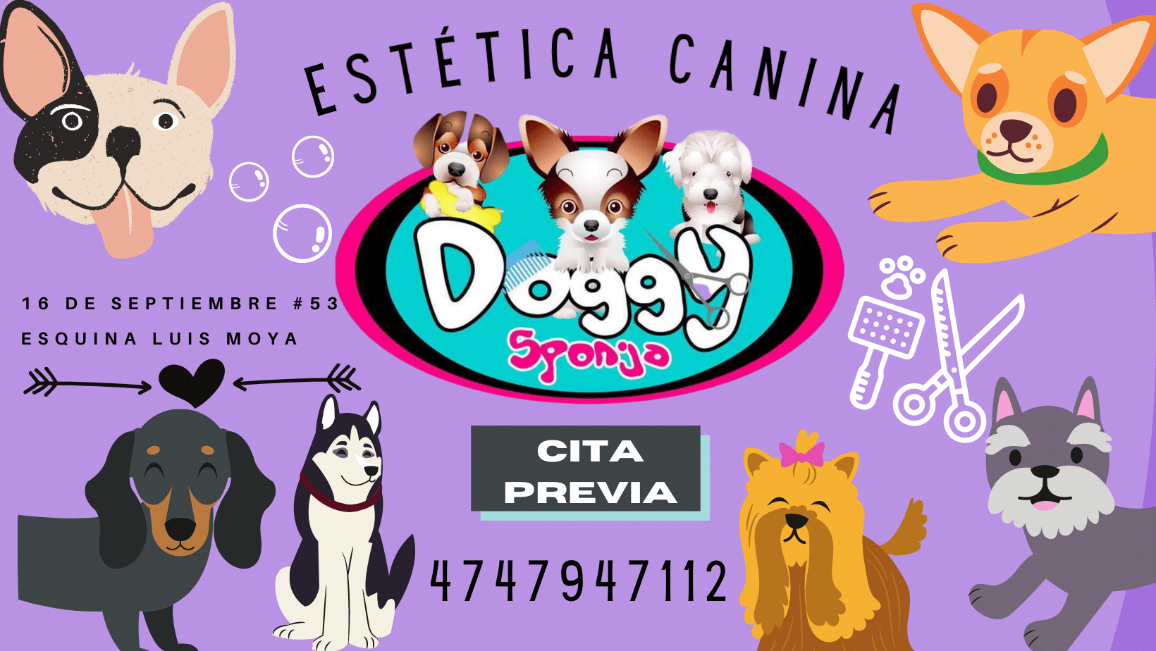 esponja.png