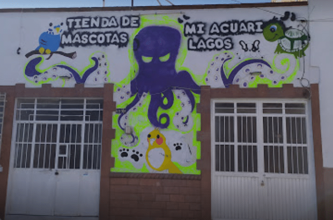 mi-acuario-1.png