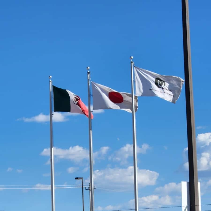 miyazakii.jpg