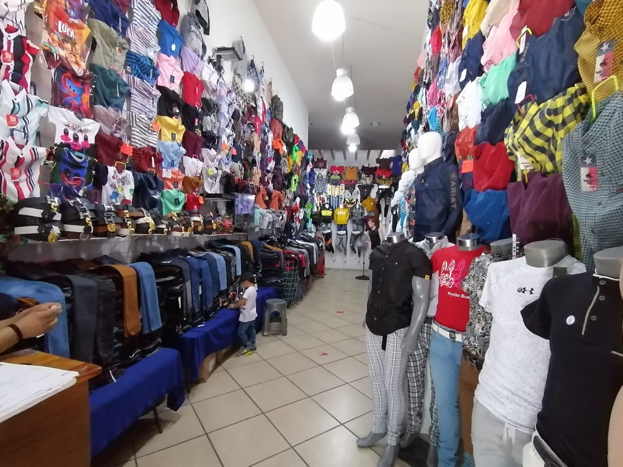 moda1-1.jpg