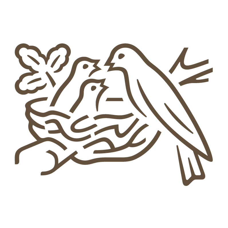 nestlee.png