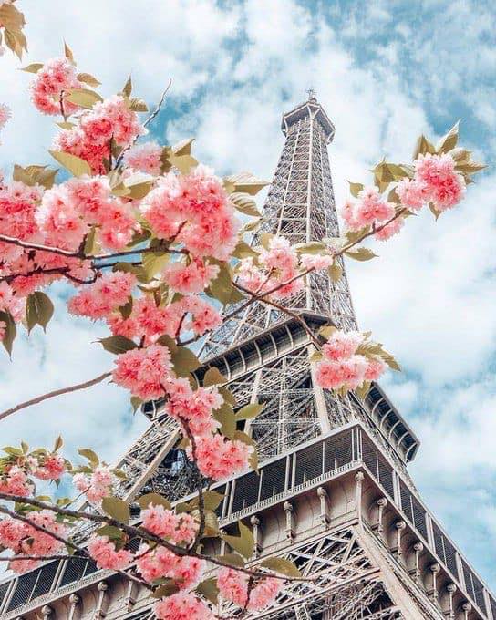 parisss.jpg