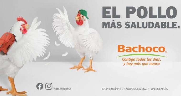 portada.jpg