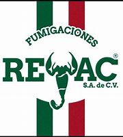 rayec.jpg